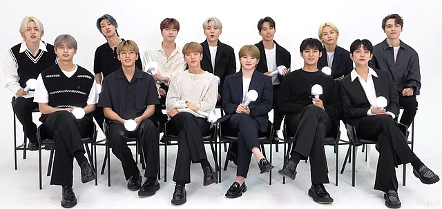Seventeen Idol group Picture