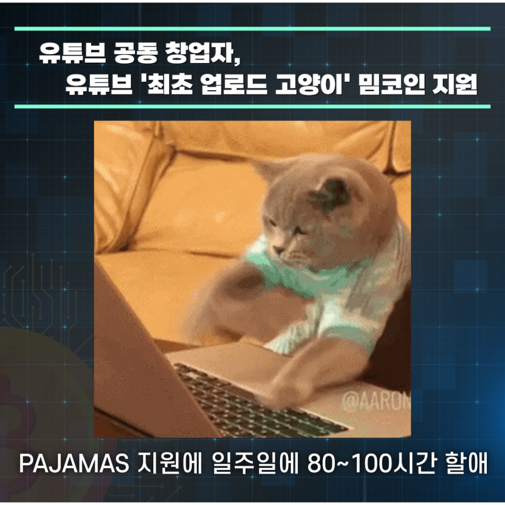유튜브 공동 창업자, 유튜브 '최초 업로드 고양이'를 기반으로 한 밈코인 지원